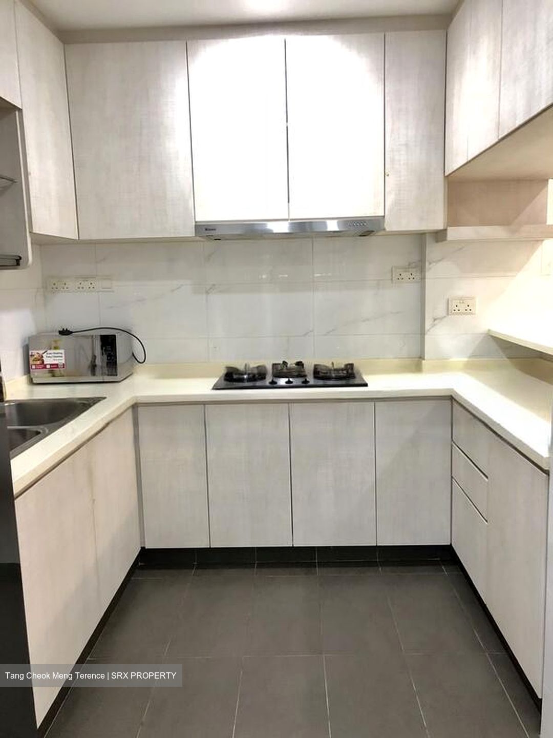 Azalea Park Condominium (D17), Condominium #483724181